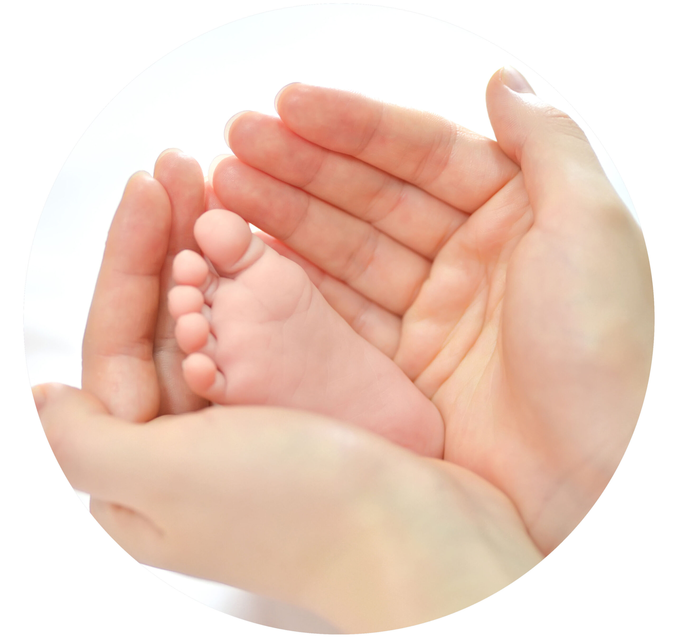 Matronería - Mammalia